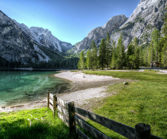 services-01 Services 01